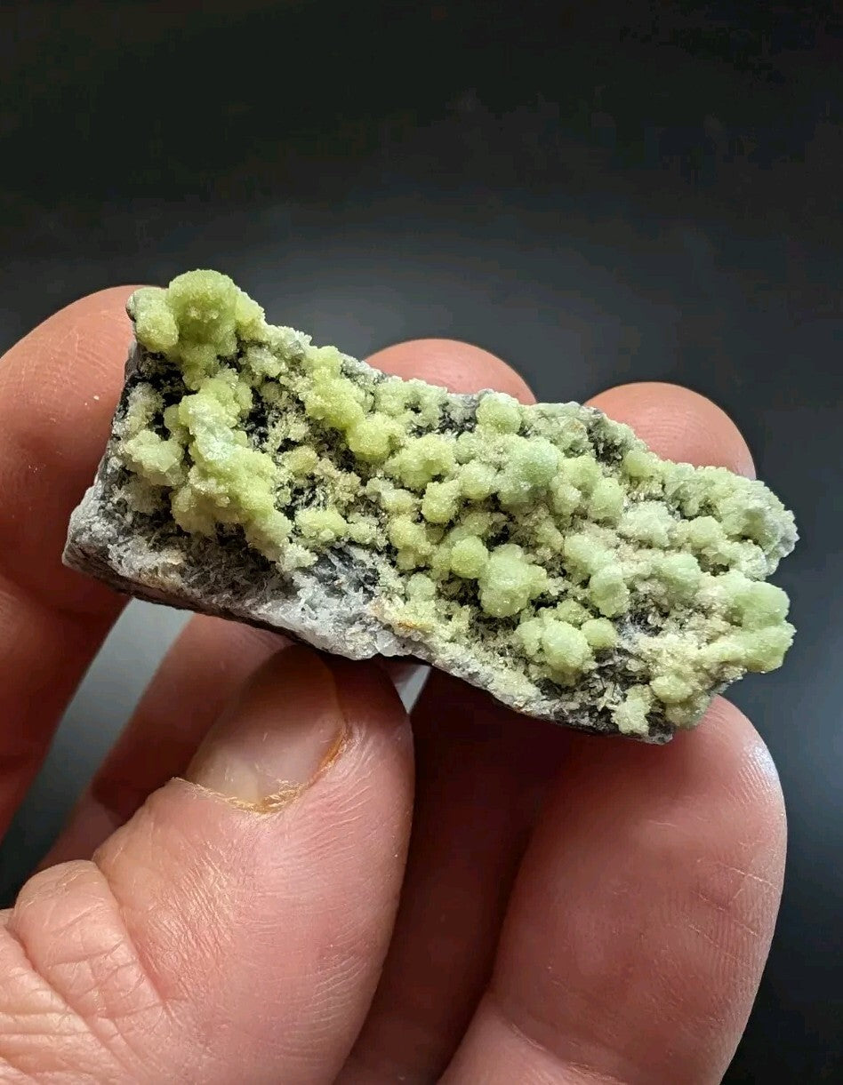 A hand holds a rectangular mineral specimen featuring clusters of bright green, rounded crystals growing from a darker gray rock base.
