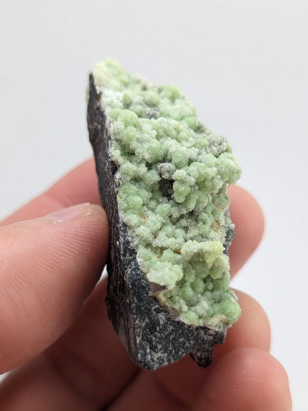 A hand holds a dark gray rock specimen featuring vibrant, light green crystalline formations.