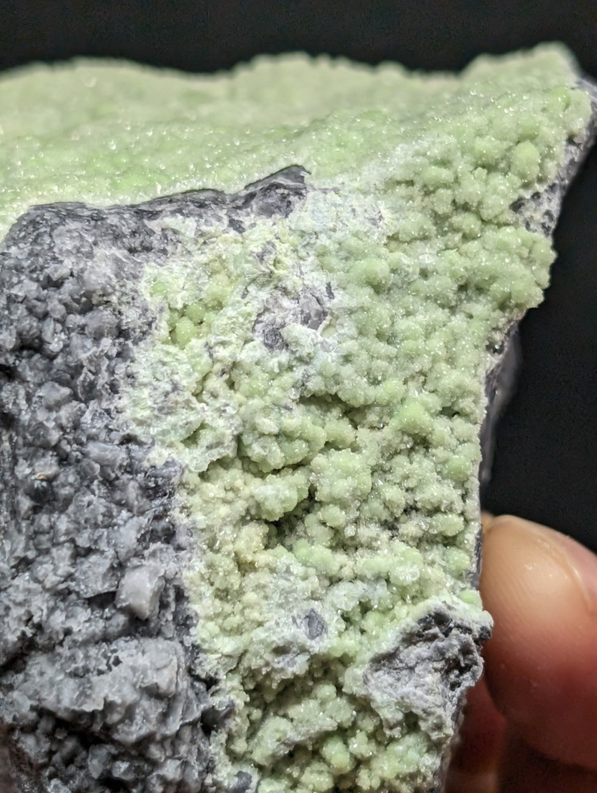 A pale green, crystalline mineral specimen with a rough, textured surface and dark gray matrix.