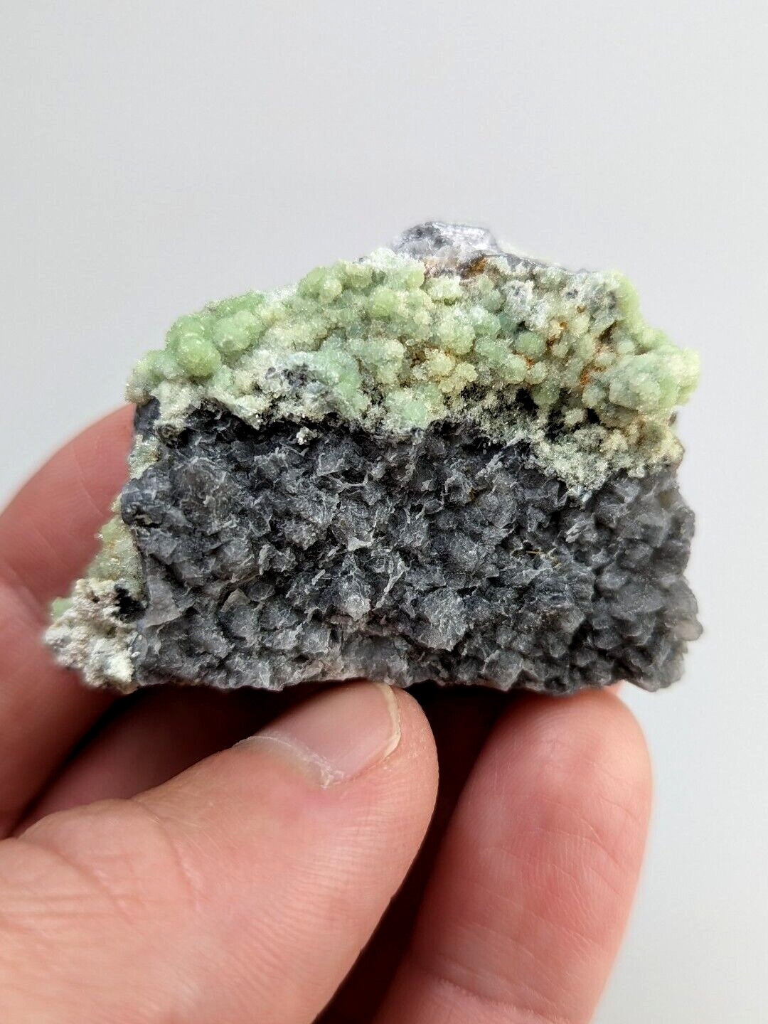 A hand holds a mineral specimen featuring a textured gray base with vibrant light green crystalline formations on top.