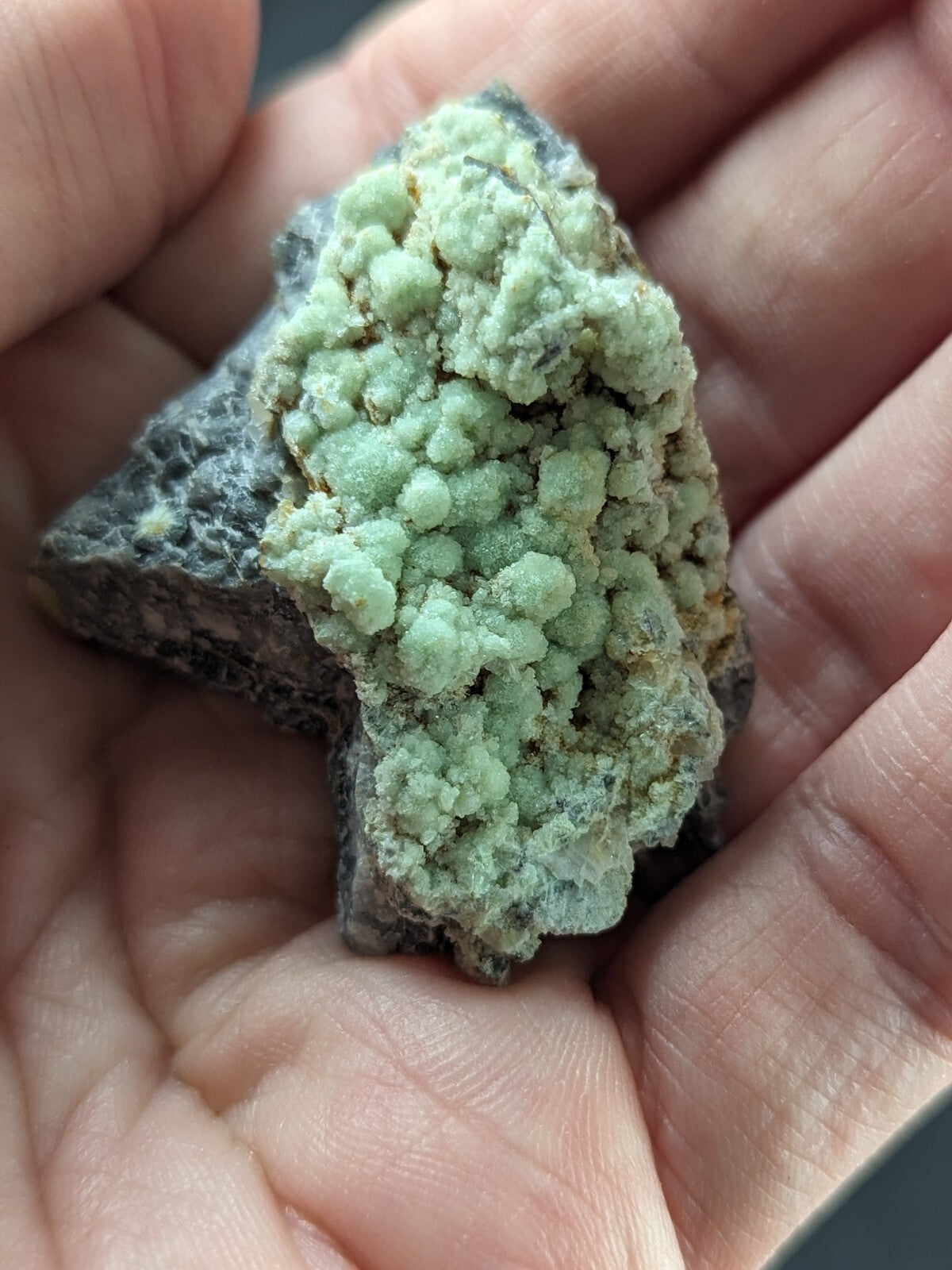 A hand holds a rough, dark gray rock specimen featuring vibrant light green mineral crystals growing in dense clusters.