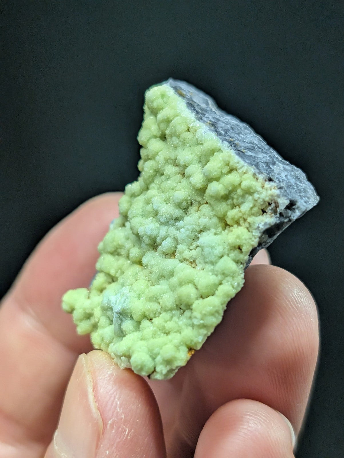 A hand holds a mineral specimen featuring vibrant, light green crystalline formations growing from a darker gray rock base.