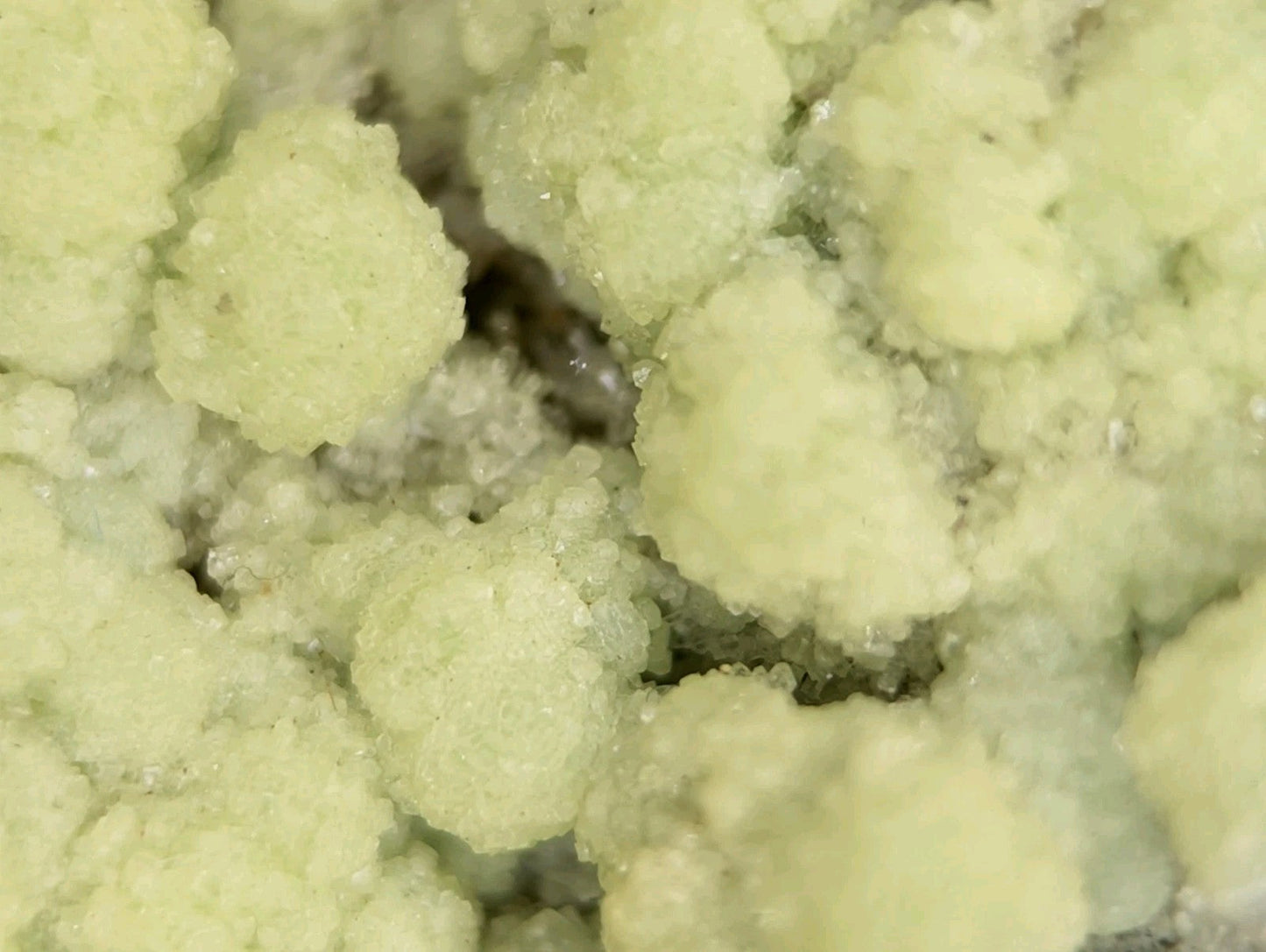 Pale green, crystalline cauliflower florets.