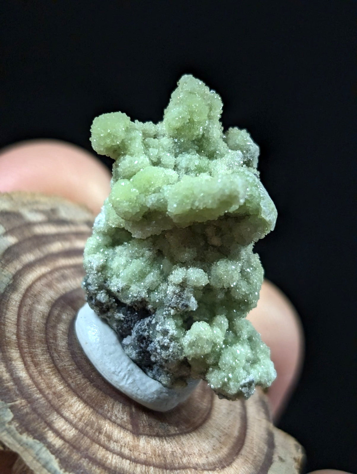 A vibrant green, crystalline mineral specimen with a textured, branching structure and some darker base material.