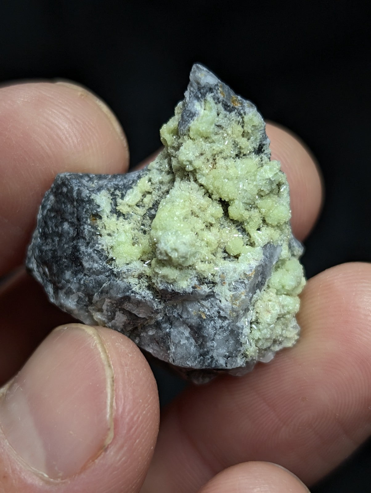 A hand holds a dark gray rock specimen featuring clusters of pale green, crystalline mineral formations.