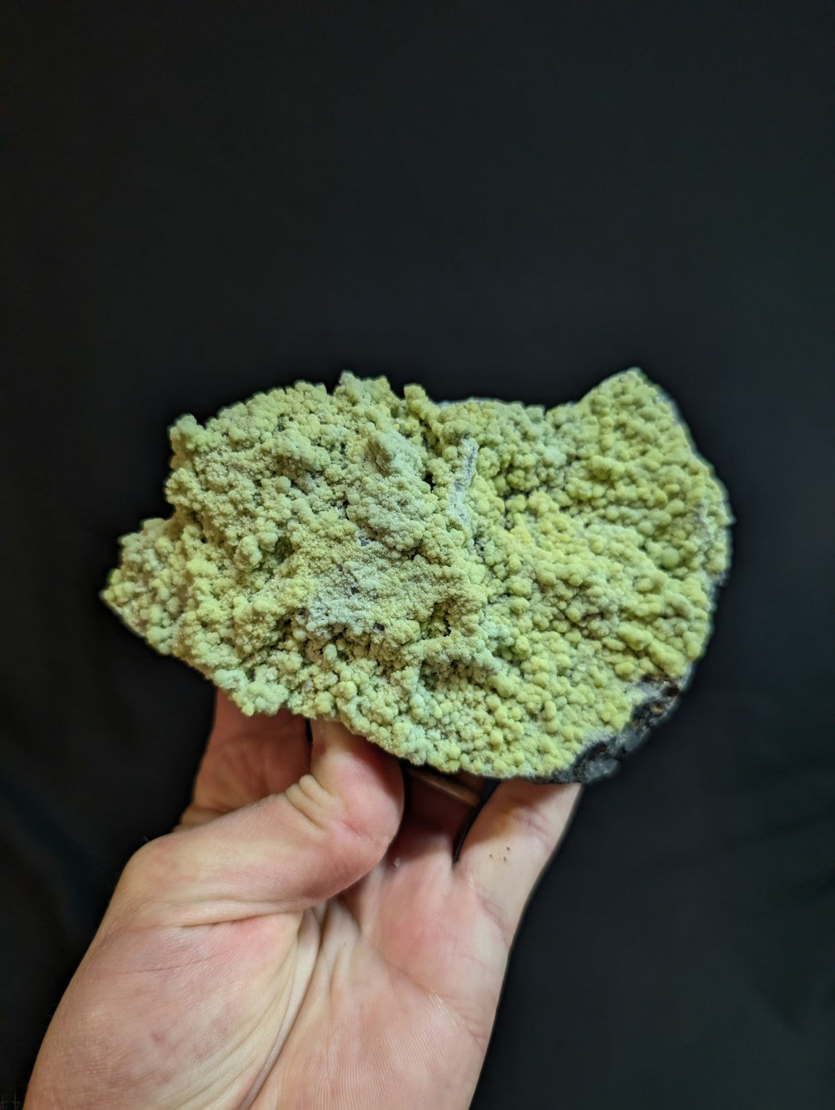 A hand holds a light green, textured mineral specimen with a rough, crystalline surface and darker edges.