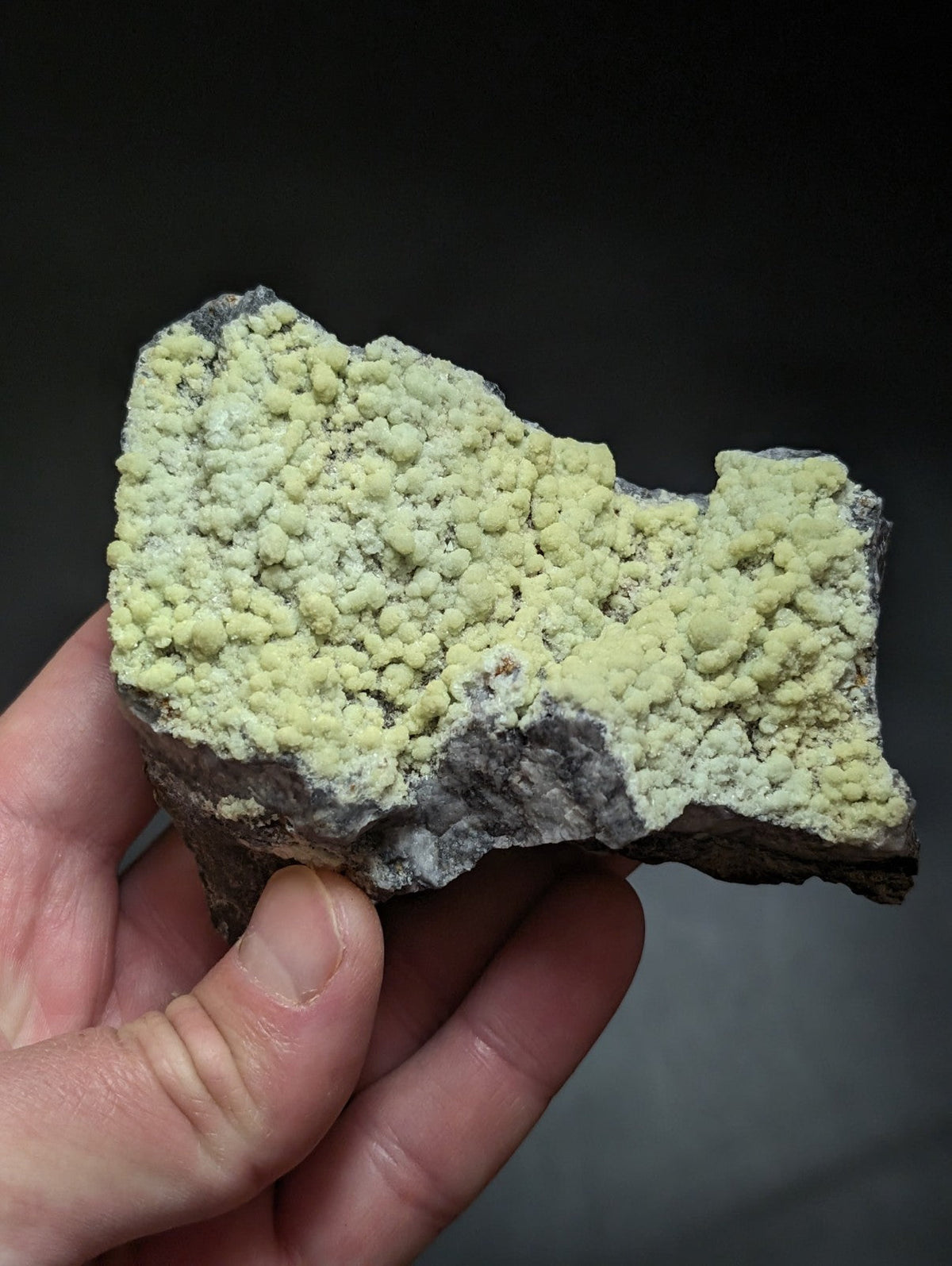 A hand holds a rough, irregularly shaped mineral specimen featuring clusters of pale yellow-green crystals growing over a darker gray rock matrix.