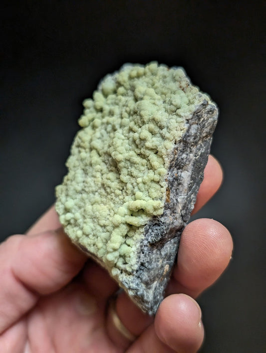 A hand holds a rough, irregularly shaped mineral specimen featuring a dense cluster of pale green, rounded crystals growing from a darker gray rock matrix.