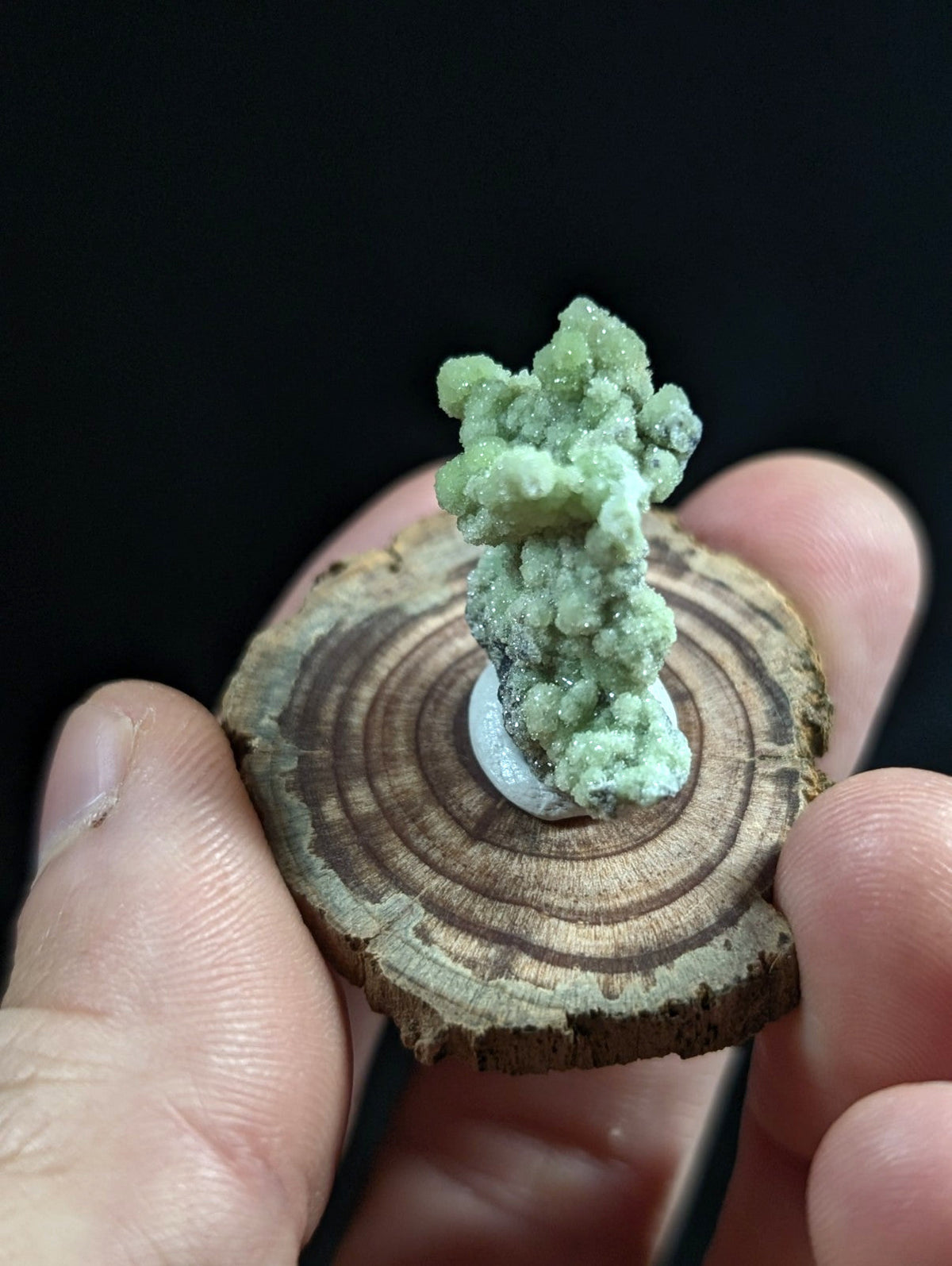 A vibrant green, crystalline mineral specimen mounted on a circular wooden slice display base.