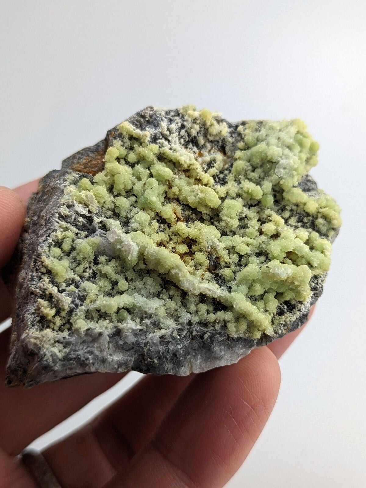 A hand holds a dark gray rock specimen featuring vibrant, clustered lime-green mineral formations.