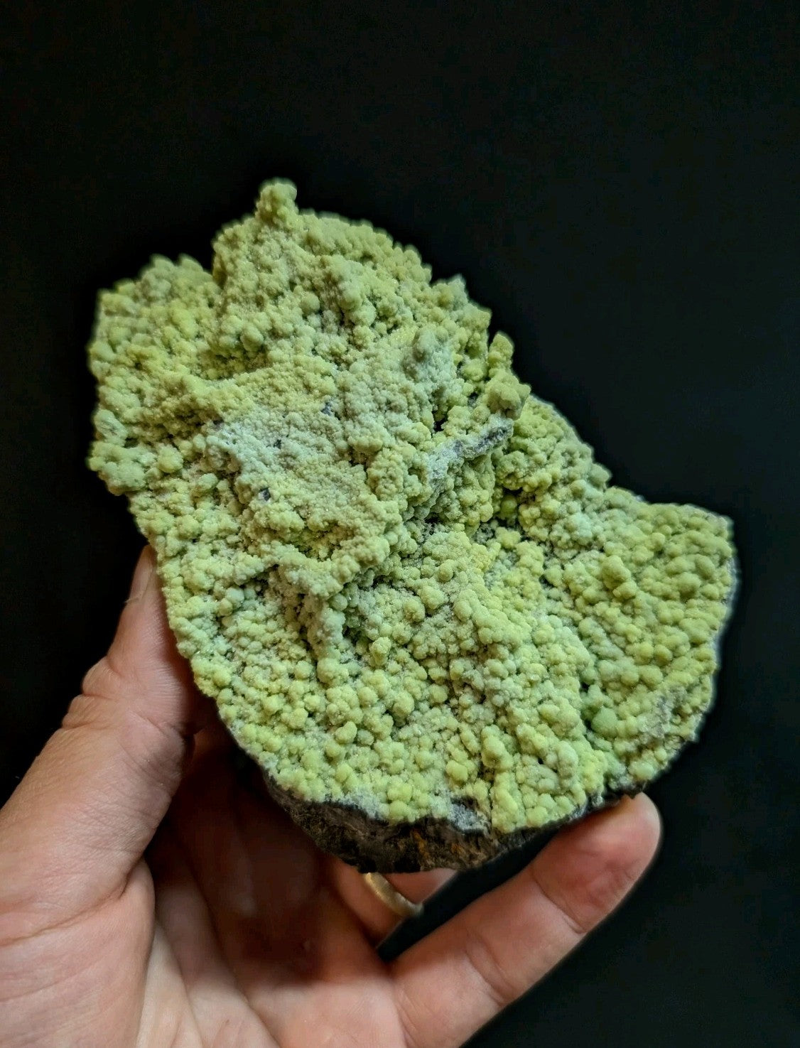 A hand holds a textured, light green mineral specimen with a rough, crystalline surface and darker base.