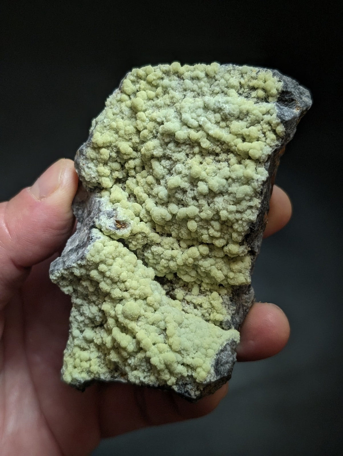 A hand holds a geological specimen featuring vibrant, pale green crystalline formations growing densely over a dark gray rock matrix.