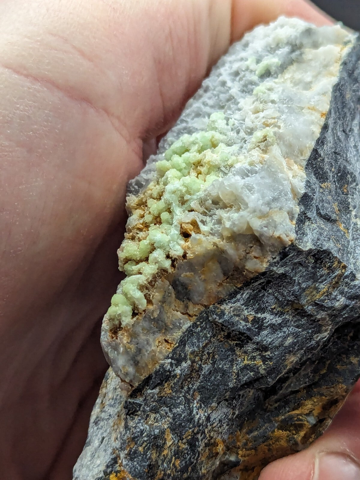 A hand holds a rugged, dark gray rock specimen featuring clusters of pale green mineral crystals growing over a lighter, translucent matrix.