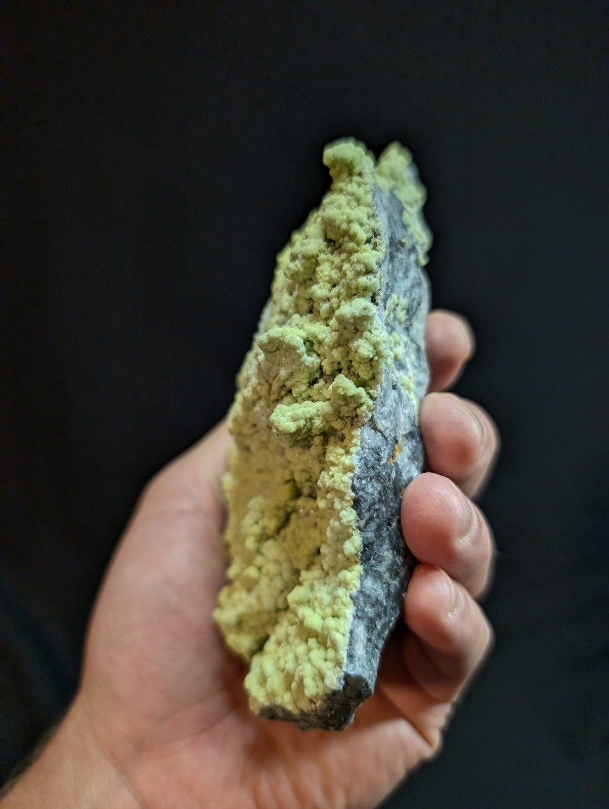 A hand holds a geological specimen featuring a dark gray rock base with vibrant, light green crystalline formations growing densely along its surface.