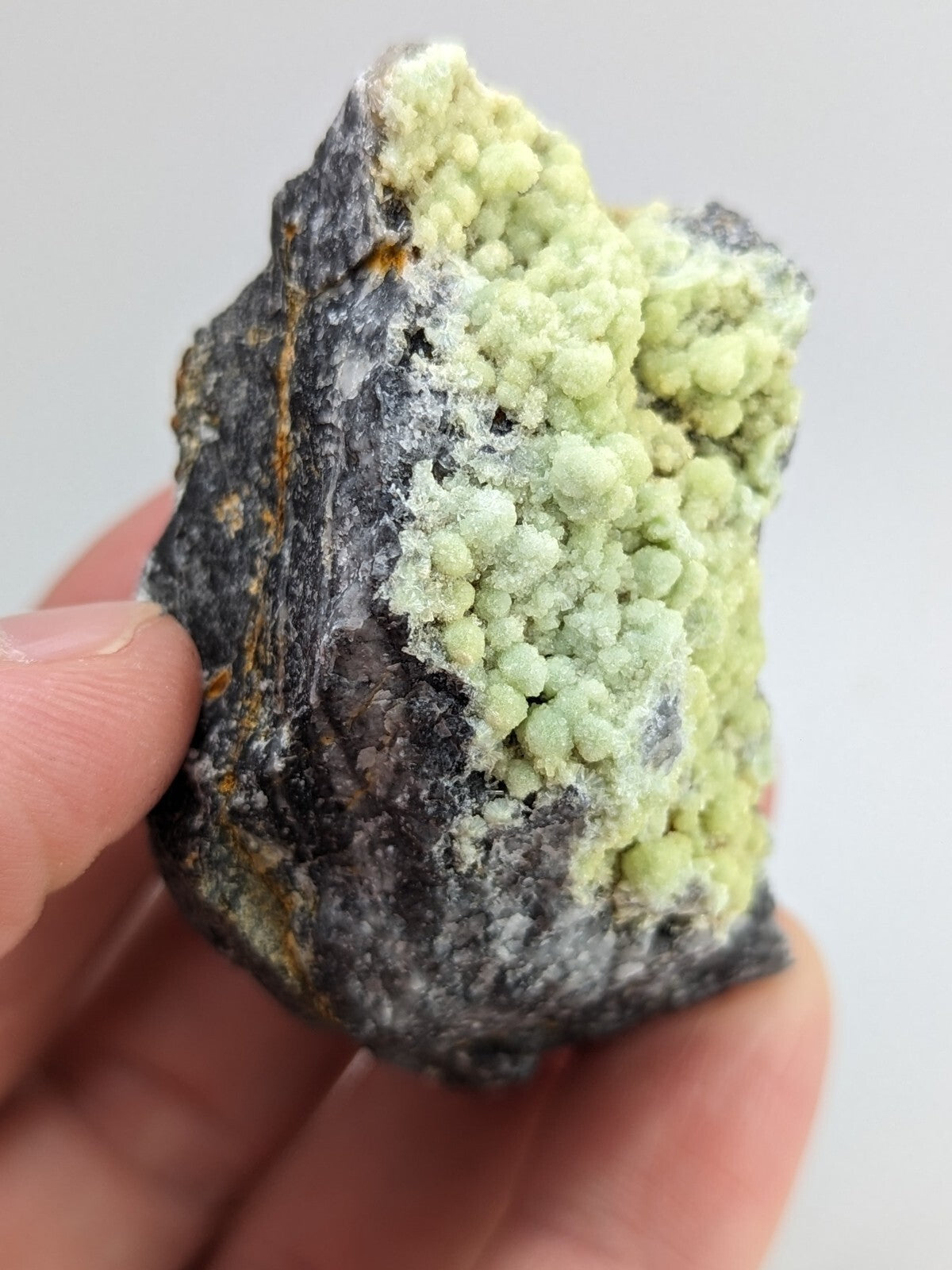 A hand holds a dark, rough-textured rock specimen featuring vibrant light green crystalline formations.
