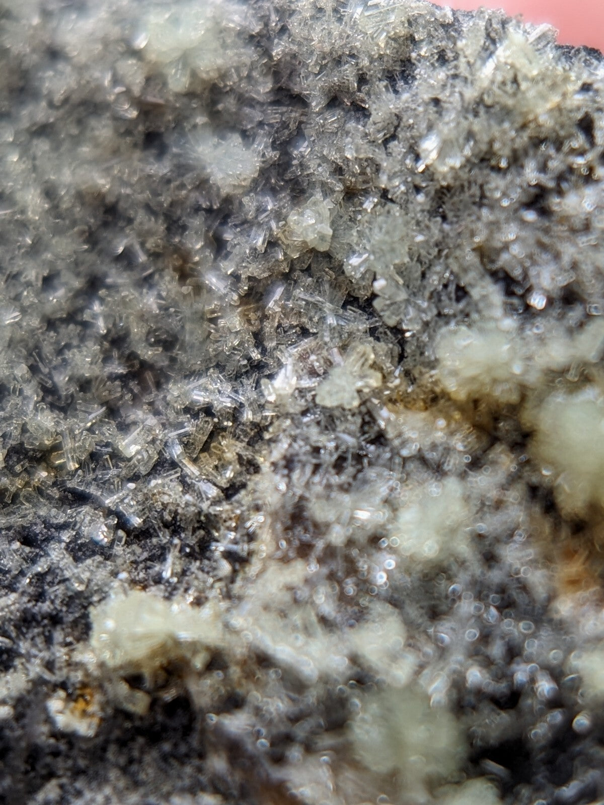A cluster of translucent, crystalline minerals with a mix of clear and pale yellowish hues embedded in dark gray rock.