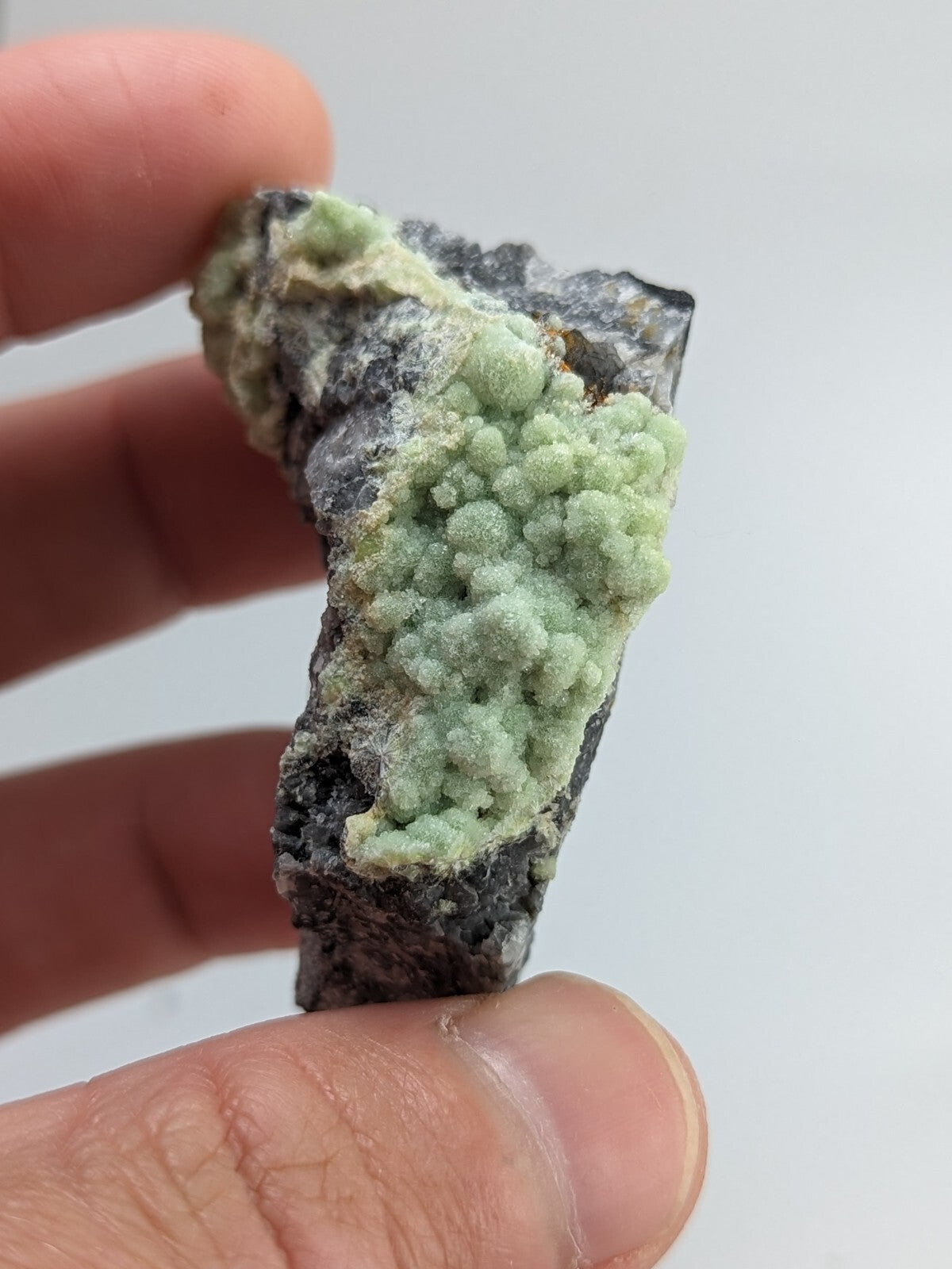 A hand holds a dark gray rock specimen featuring vibrant, light green crystalline formations with a fuzzy texture.
