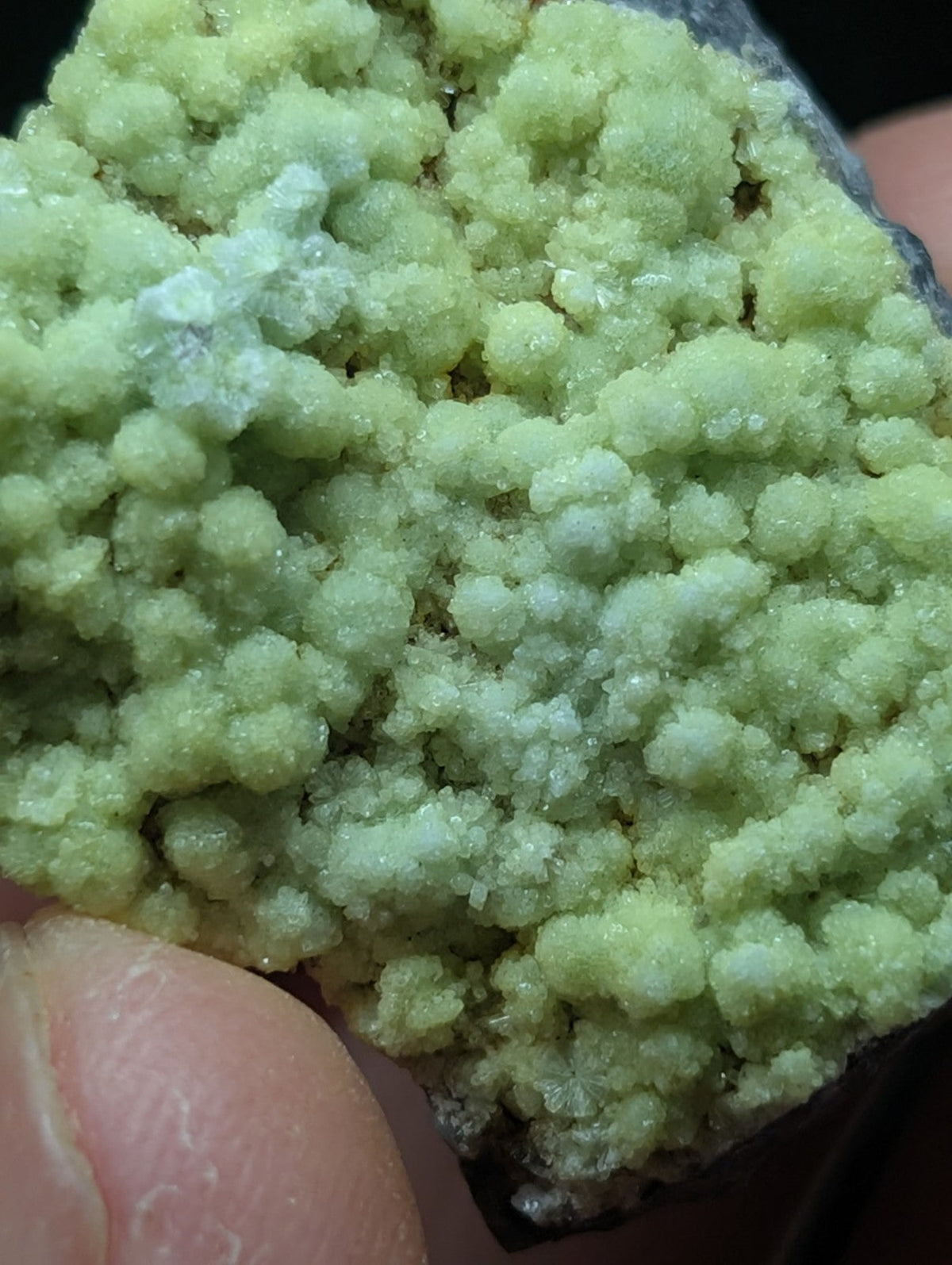 A cluster of pale green, crystalline mineral formations with a textured, bubbly surface.