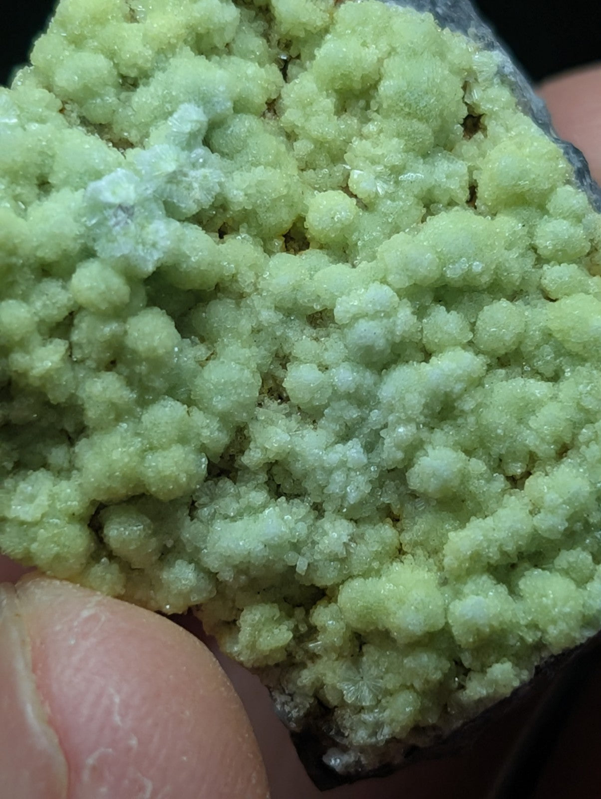 A cluster of pale green, crystalline mineral formations with a textured, bubbly surface.