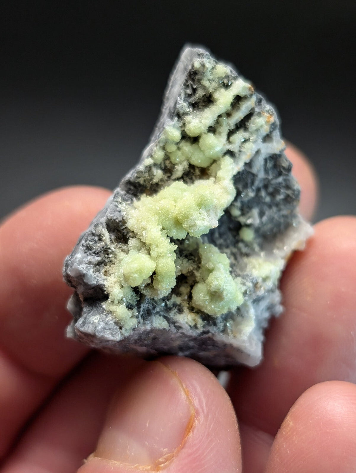 A hand holds a rough, dark gray rock specimen featuring vibrant pale green crystalline formations.