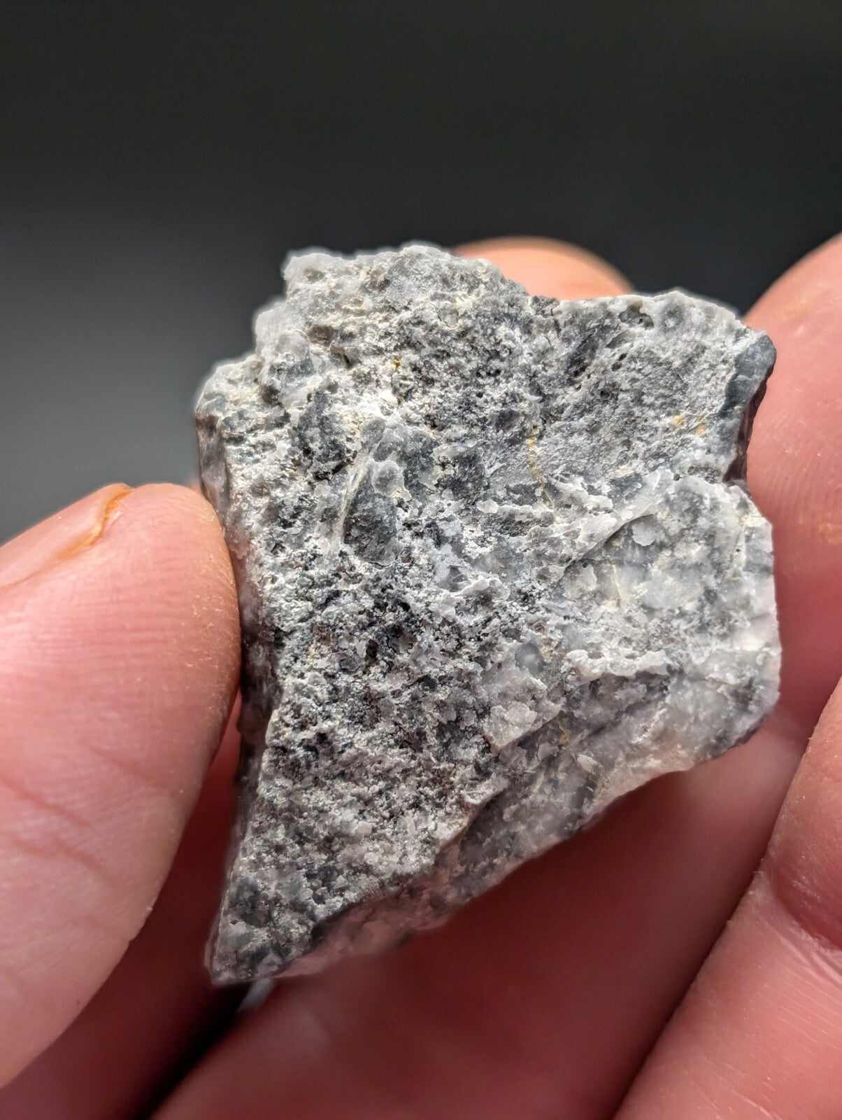 A rough, irregularly shaped gray rock with a speckled texture and visible mineral veins.