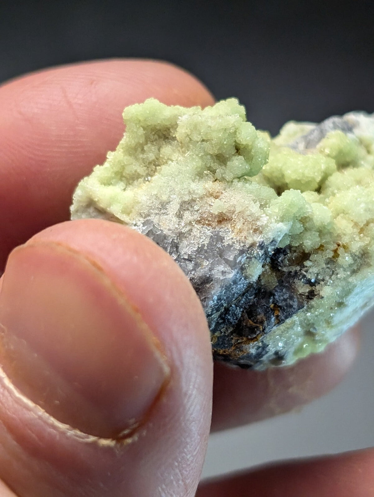 A hand holds a mineral specimen featuring clusters of pale green crystals growing over a darker, textured matrix.