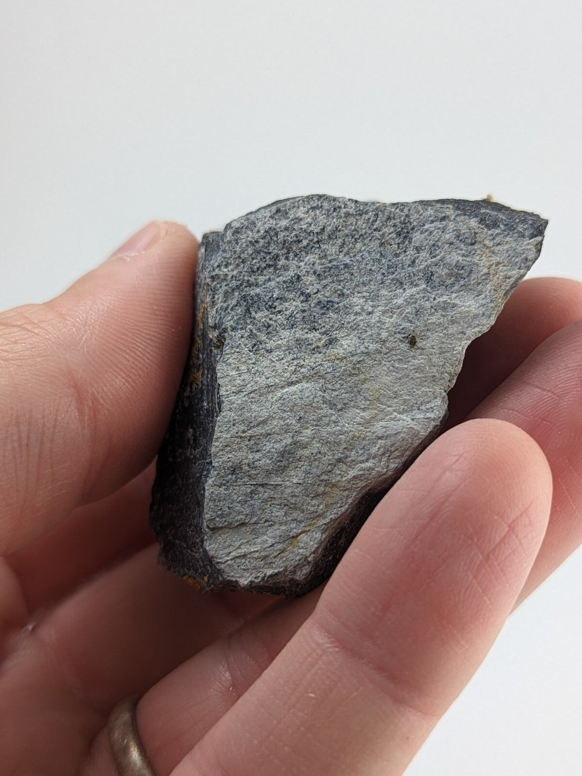 A rough, irregularly shaped gray rock with a textured surface held in someone’s hand.