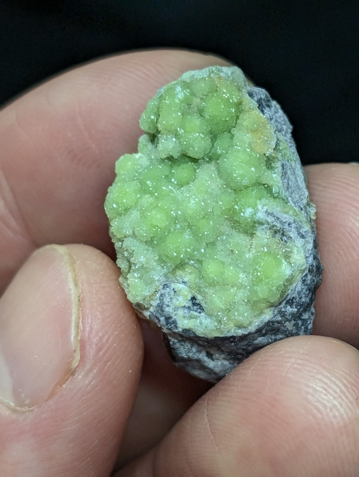 A hand holds a vibrant green, crystalline mineral specimen with rounded, sparkling formations set against a dark gray rock matrix.