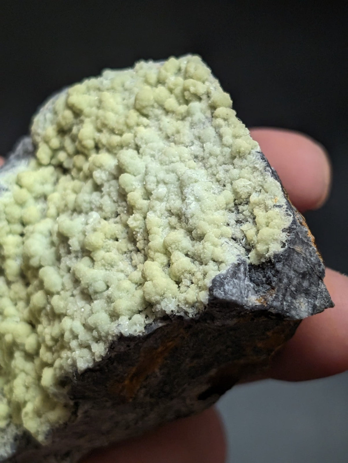 A hand holds a dark gray rock specimen featuring dense, pale yellow-green crystalline formations.