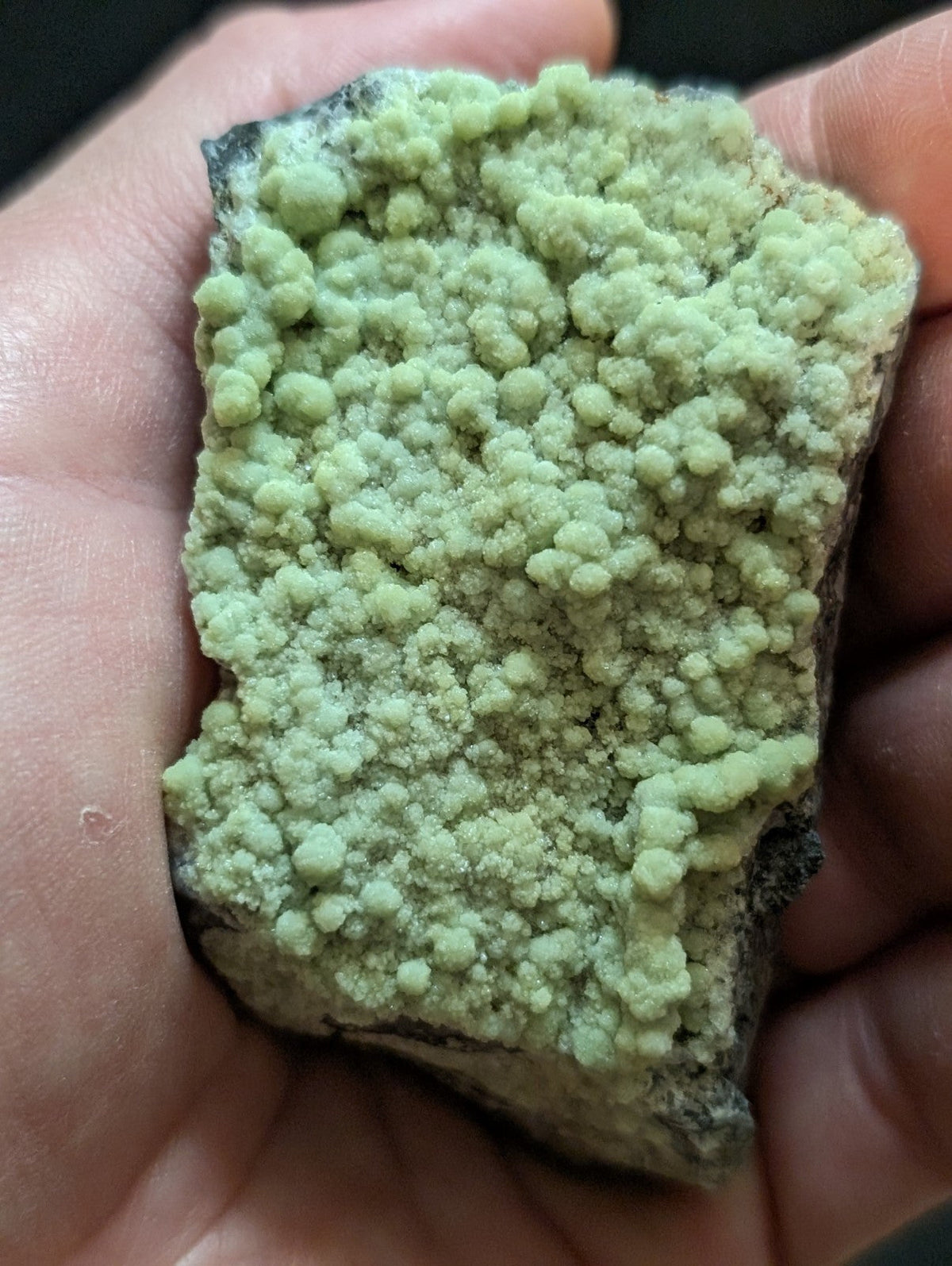 A hand holds a rough, irregularly shaped mineral specimen featuring dense clusters of pale green, rounded crystals growing over a darker base rock.
