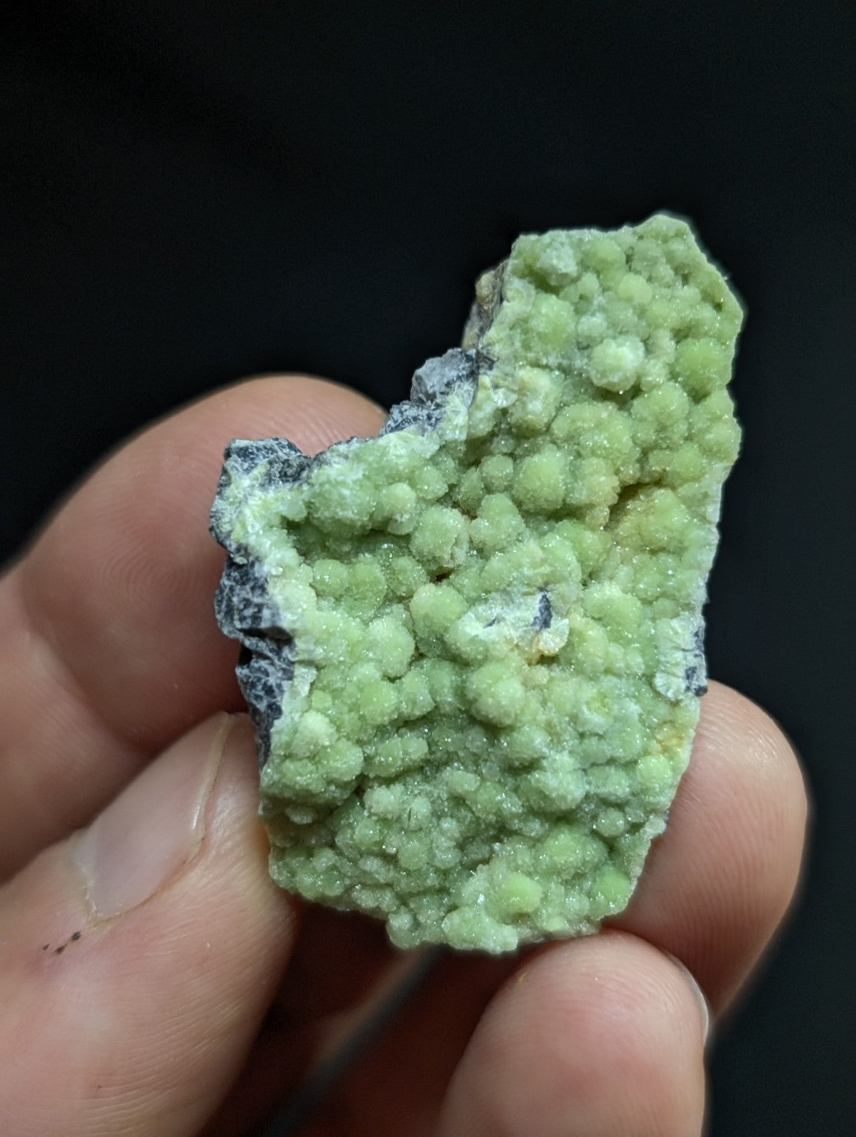 A hand holds a piece of green, bumpy mineral with small rounded crystals clustered together.