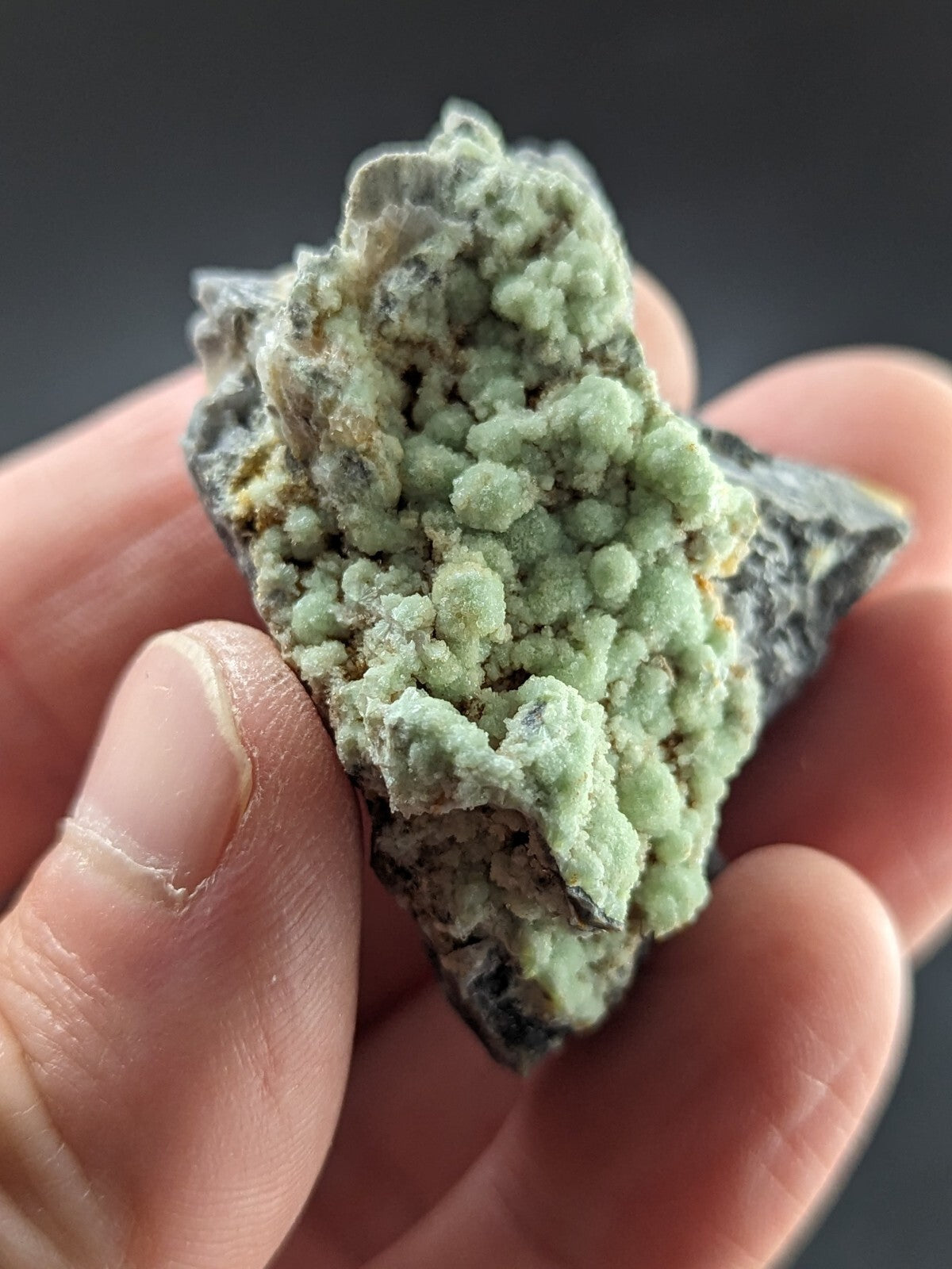 A hand holds a rough, irregularly shaped mineral specimen featuring clusters of light green, rounded crystals growing from a darker gray matrix.