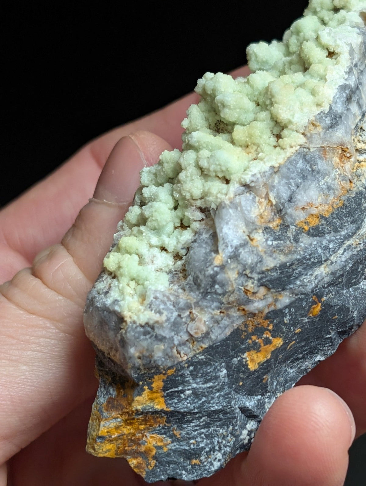 A hand holds a geological specimen featuring clusters of pale green, crystalline mineral growths atop a dark gray rock matrix with patches of orange-yellow oxidation.