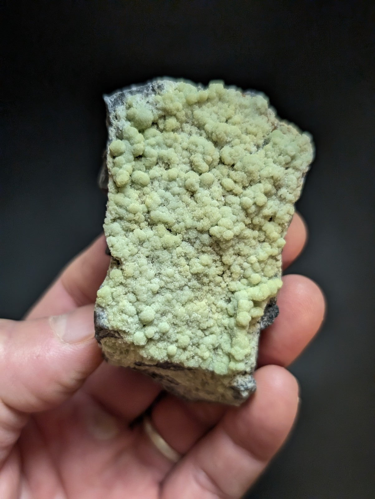 A hand holds a rough, irregularly shaped mineral specimen featuring dense clusters of pale green, rounded crystals growing from a darker base.