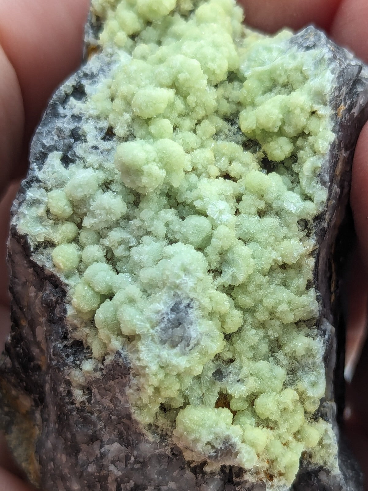 A vibrant, pale green mineral specimen with a crystalline texture ...