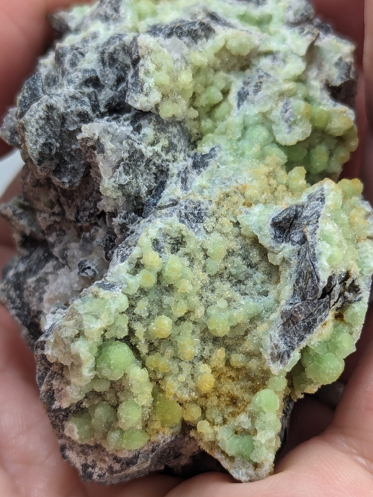 A hand holds a mineral specimen featuring clusters of translucent green crystals growing over dark, rough-textured rock.