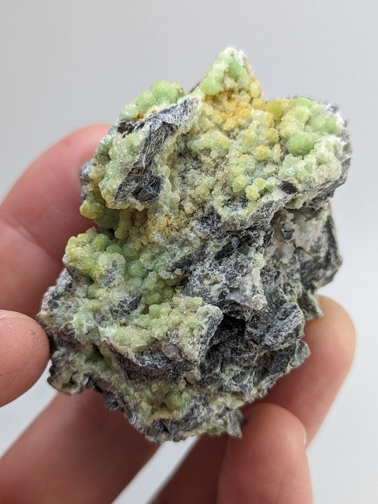 A hand holds a rough, irregularly shaped mineral specimen featuring clusters of pale green and yellowish crystals growing on a dark gray matrix.