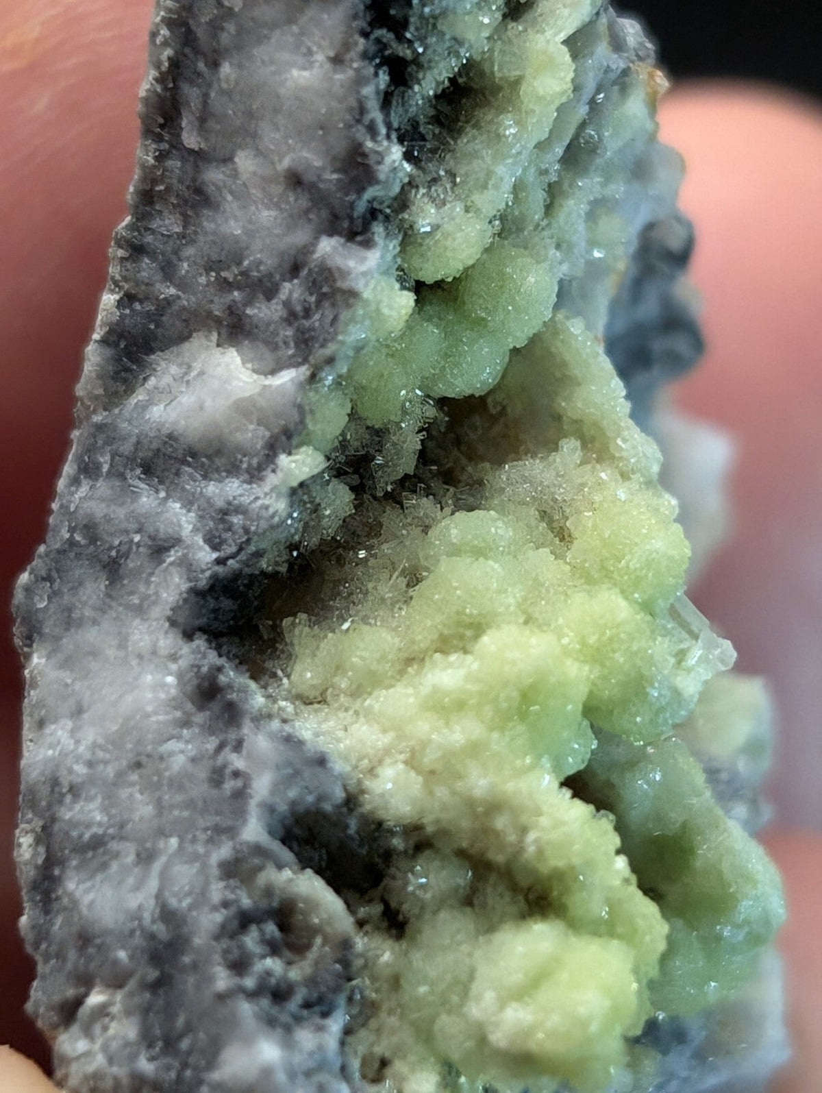 A striking green mineral specimen with crystalline formations growing from a dark, textured matrix.
