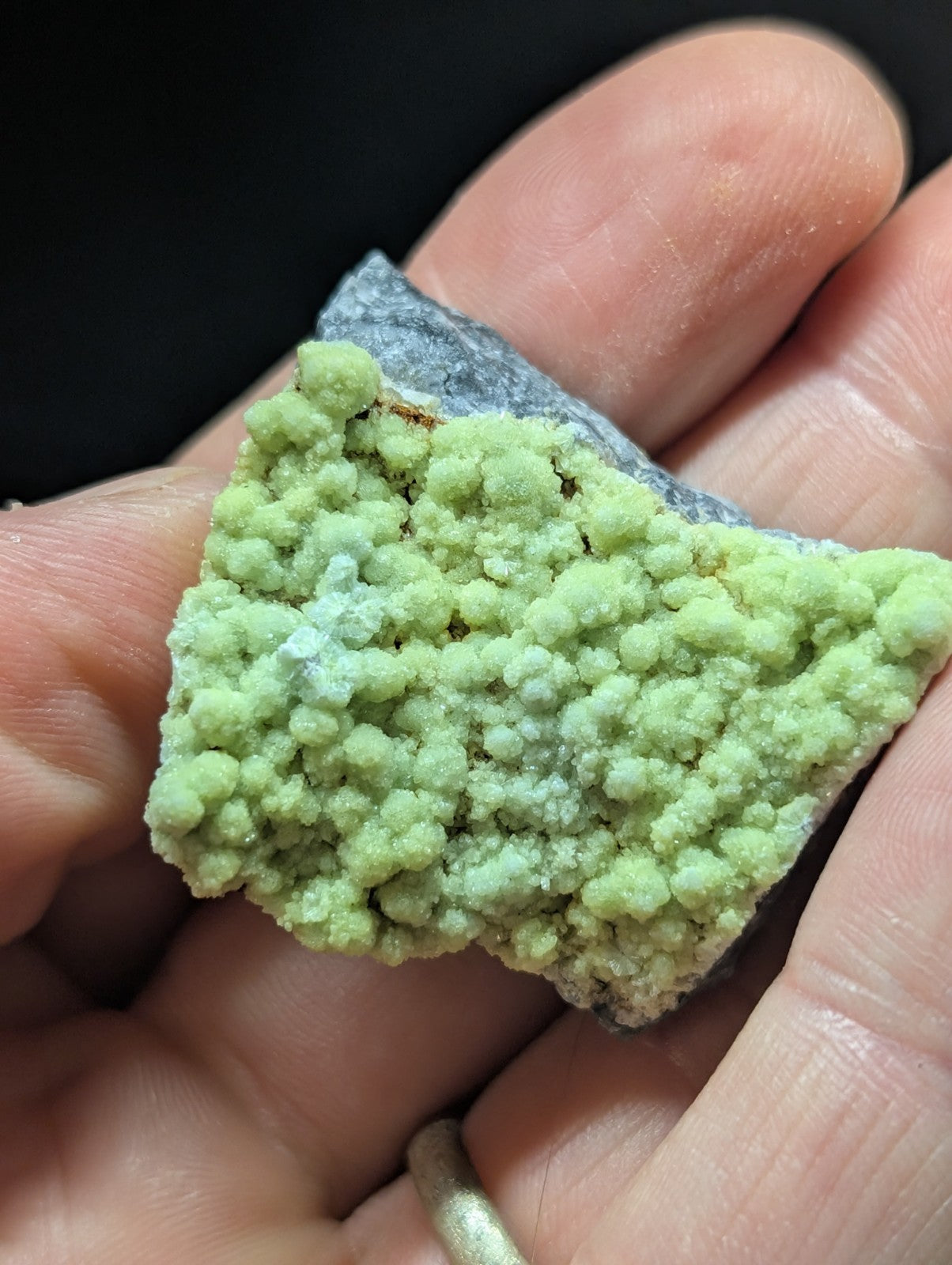 A hand holds a vibrant green, bumpy mineral specimen with small rounded crystals growing over a dark gray rock base.