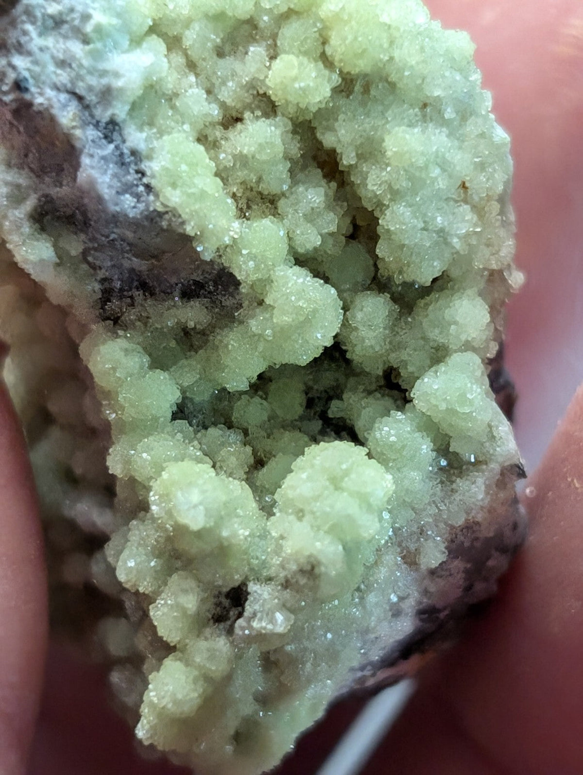 A cluster of translucent, pale green crystals growing from a dark mineral matrix.
