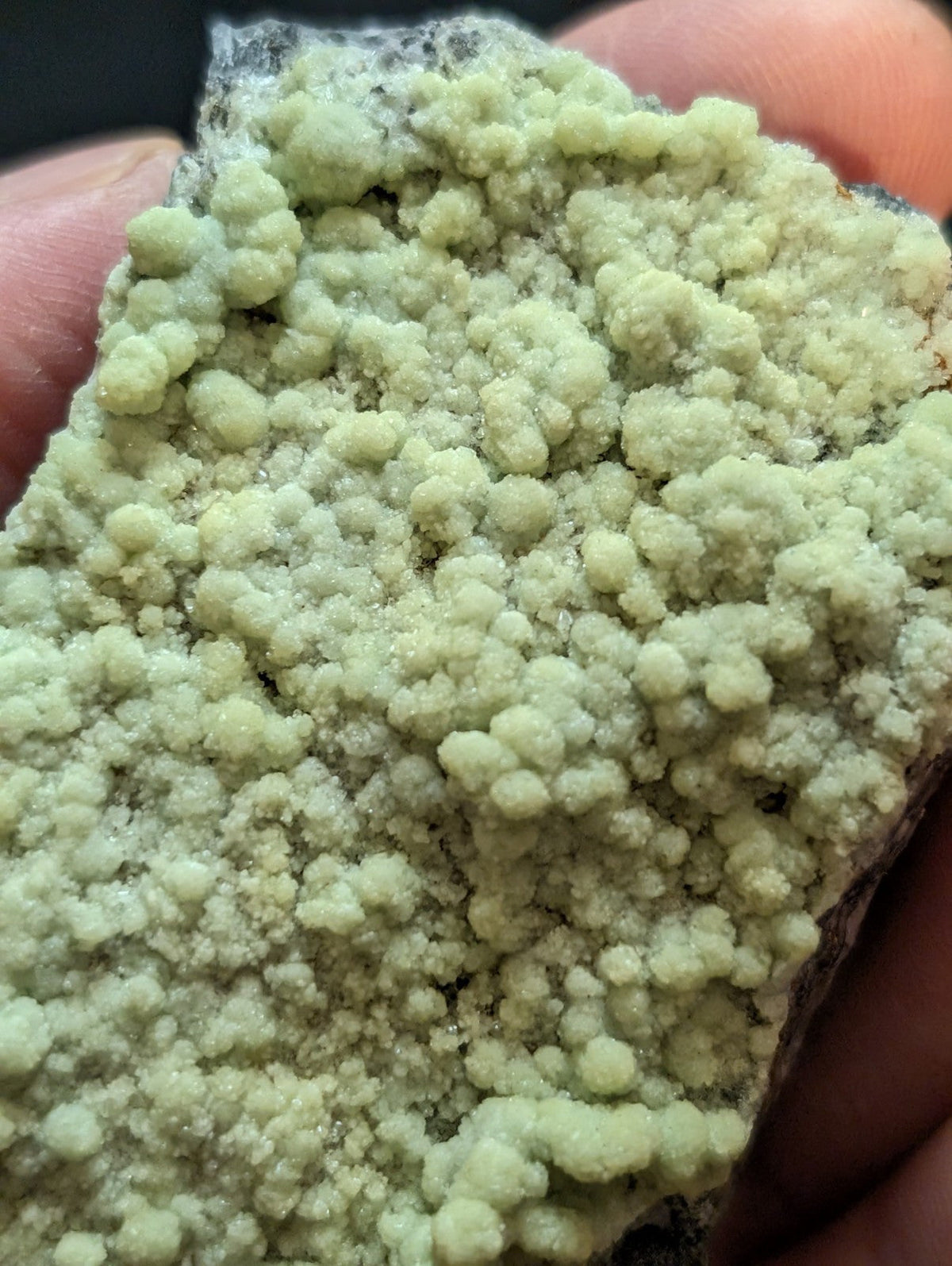 A pale green, textured mineral specimen with a clustered, bubbly surface.