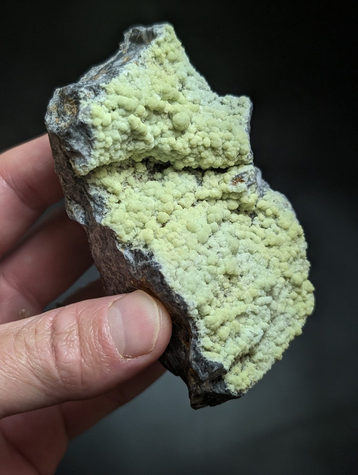 A hand holds a rough, dark gray rock specimen featuring vibrant pale green mineral formations with a textured, bumpy surface.