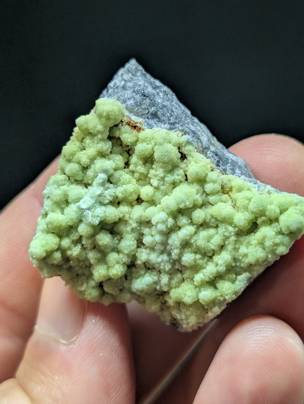 A hand holds a mineral specimen featuring vibrant green, bulbous crystals growing from a gray rock base.