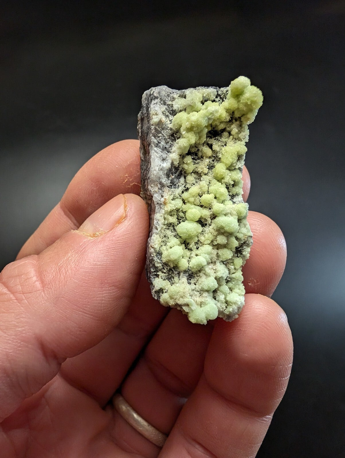 A hand holds a rectangular mineral specimen featuring vibrant light green, rounded nodules growing from a dark gray rock base.