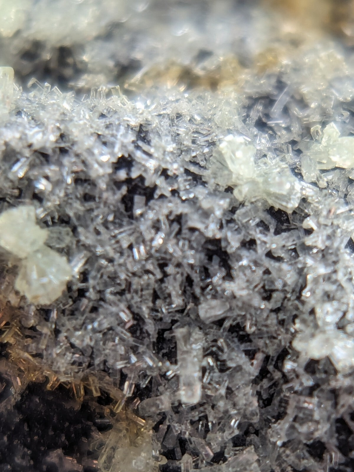 Clear, translucent crystal formations with sharp edges and varying sizes cluster together on a dark, earthy substrate.