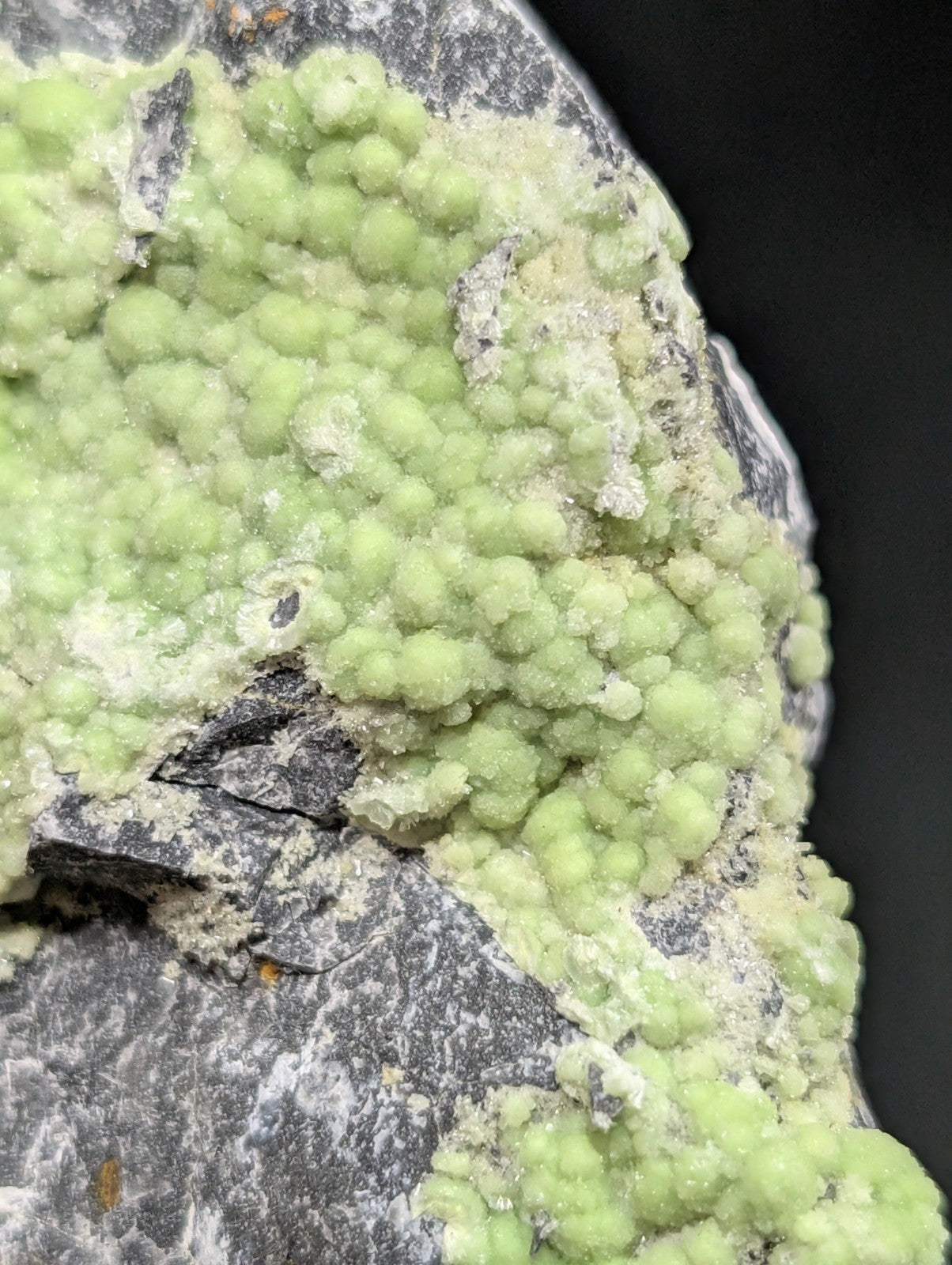 A cluster of vibrant light green, bead-like crystals growing on a dark gray rock surface.