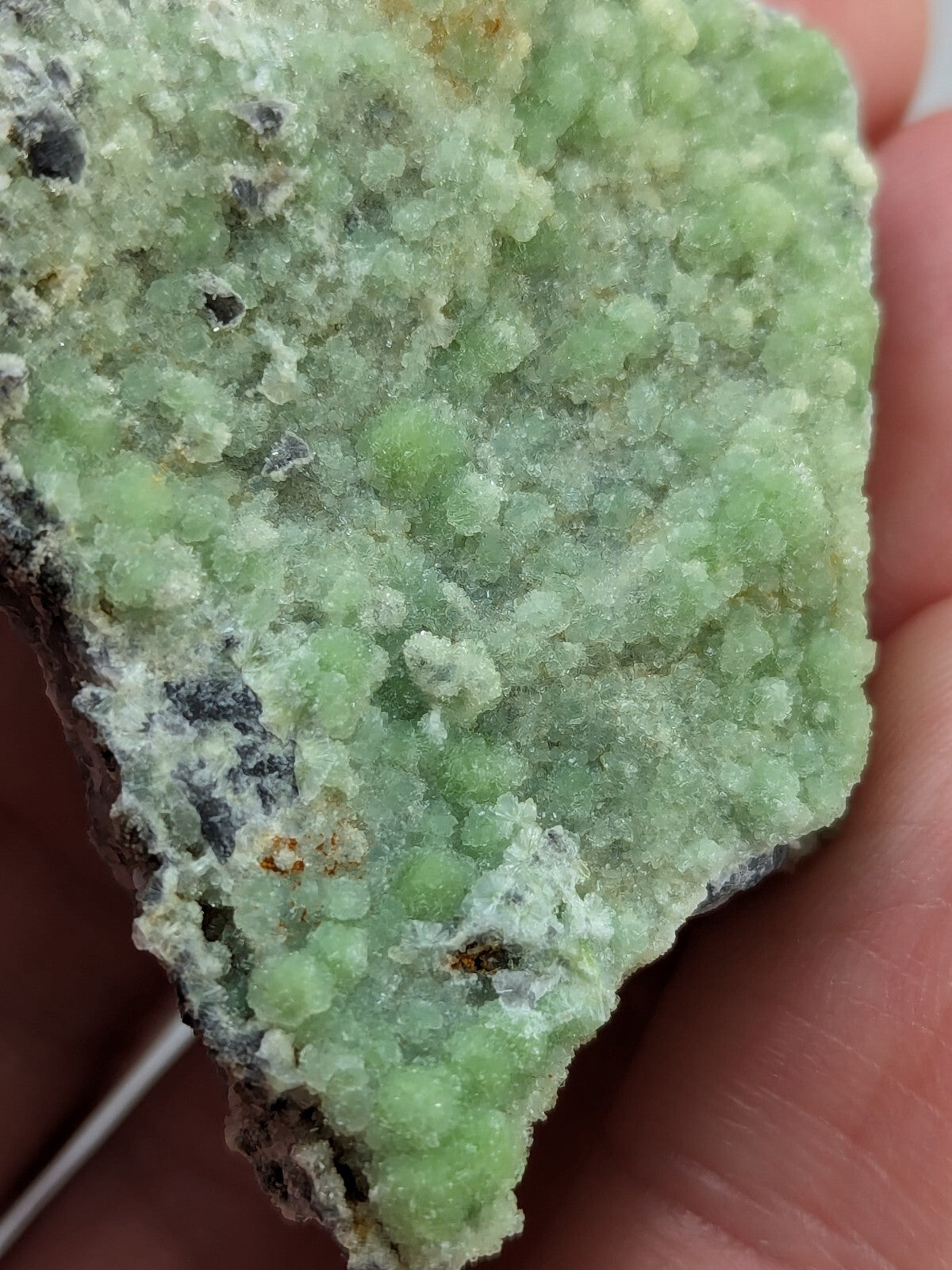 A hand holds a rough, light green mineral specimen with crystalline formations and dark matrix.