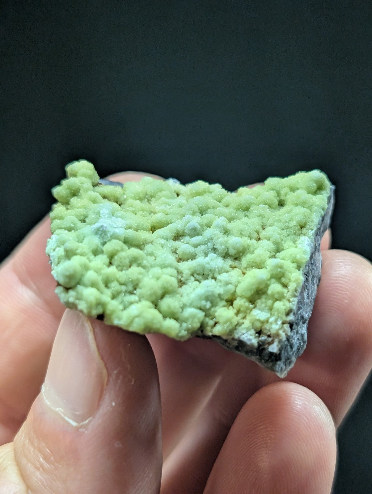 A hand holds a mineral specimen featuring vibrant lime-green, bumpy crystals growing over a dark gray base.