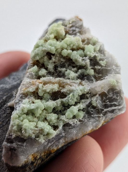 A hand holds a geological specimen featuring clusters of pale green, crystalline minerals growing on a dark gray rock matrix.