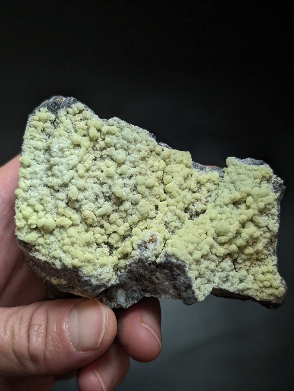 A hand holds a geological specimen featuring vibrant, pale yellow-green crystalline formations growing densely over a darker gray rock base.